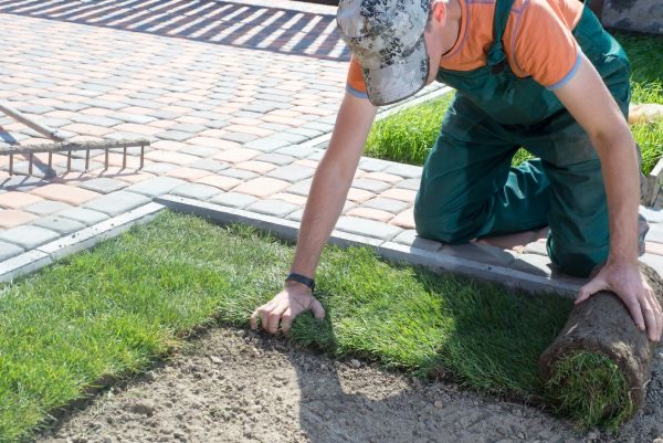 Landscapers