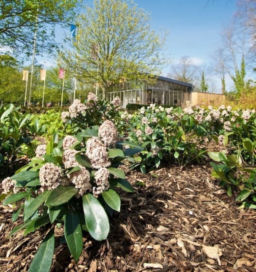 Landscaping Bark/Contract Ornamental